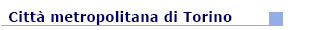 vai al sito della Citt&agrave; metropolitana di Torino